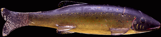 Harry Seymour, Fish Decoy, fishdecoy, fish decoy, fish decoys, Maker Unknown