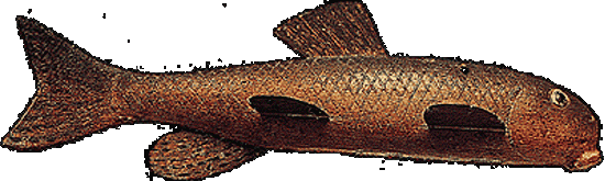 Perch Fish Decoy, fishdecoy, fish decoy, fish decoys, Maker Unknown