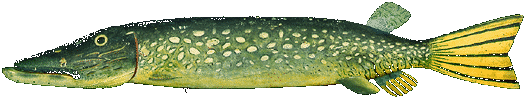 Icefishing and American Fish Decoy from the golden age of Icefishing